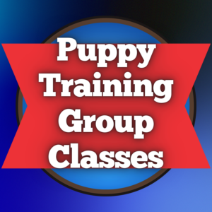 Puppy Training Group Classes (6 Weeks)