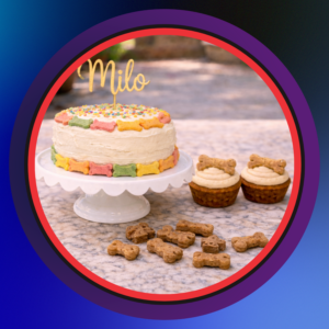 Yze Dogs Birthday Bundle